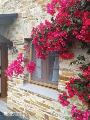 a window of a stone building with red flowers at Casa Crisanta in Lomba