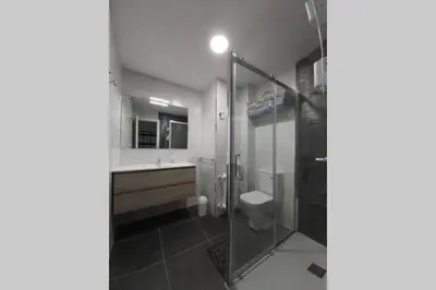a bathroom with a shower and a toilet and a sink at Campania in Ourense