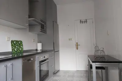 a kitchen with stainless steel appliances and a white door at Campania in Ourense