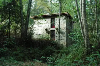 an old stone house in the middle of the woods at Pazo Da Fraga in Albeos