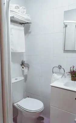a white bathroom with a toilet and a sink at A Casa Antiga do Monte Apartamentos Turísticos - Pontecesures in Padrón