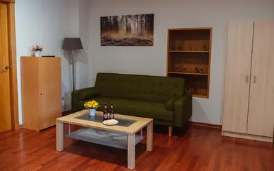 a living room with a green couch and a table at A Casa Antiga do Monte Apartamentos Turísticos - Pontecesures in Padrón
