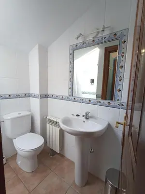 a bathroom with a toilet and a sink and a mirror at CASA FELISA in Pola de Somiedo