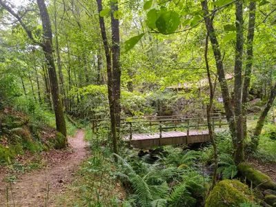 a wooden bridge over a stream in a forest at CASA MENCIA in Sober
