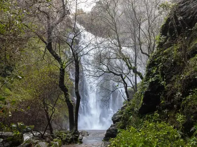 a waterfall in the middle of a forest at Apartamento Adelina in Silleda