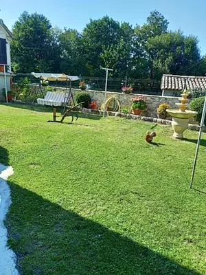 a bird walking in a yard with a fountain at Casa Cabaleira in Silleda