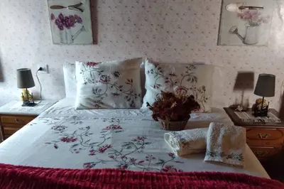 a bedroom with a bed with flowers on it at Casa Cabaleira in Silleda