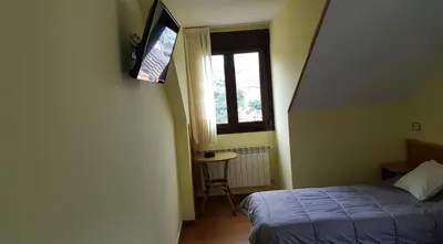 a bedroom with a bed and a television on the wall at Hotel Alina in Cangas del Narcea