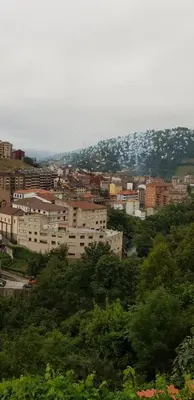 a view of a city with buildings and trees at Hotel Alina in Cangas del Narcea