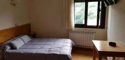 a bedroom with a bed and a table and a window at Hotel Alina in Cangas del Narcea