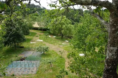 an overhead view of a garden with trees and grass at Casa da Labaceira in Santo Tomé