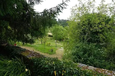 a dirt road in a field with trees at Casa da Labaceira in Santo Tomé