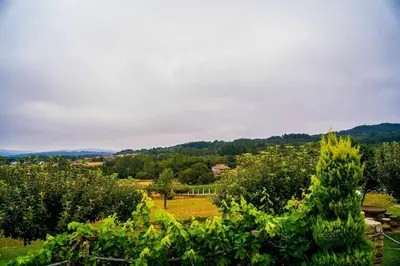 a view of a bunch of grapes in a field at O Muiño - Casa Ferrador (Ribeira Sacra) in Barantes