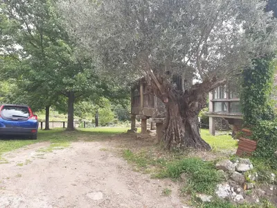 a car parked next to a tree next to a house at Casa da mestre in Crecíente