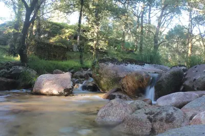 a stream of water with rocks and trees in the background at O XARDÍN DA FRAGA in A Lama