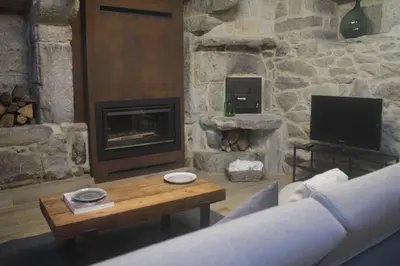 a living room with a fireplace and a tv at O XARDÍN DA FRAGA in A Lama