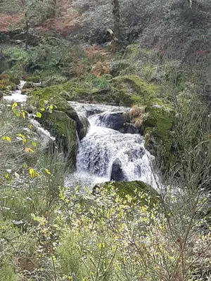 a waterfall on a hill with flowers in a field at O XARDÍN DA FRAGA in A Lama