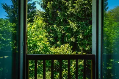 a window with a view of a tree at O Casal das Árbores in Santiago de Compostela