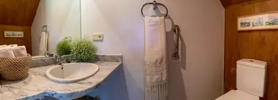 a bathroom with a sink and a shower and a toilet at O Casal das Árbores in Santiago de Compostela