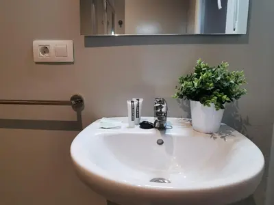 a bathroom sink with a potted plant on it at Km101 in Baamonde