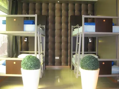 a room with two bunk beds and two plants at albergue SANTO SANTIAGO in Santiago de Compostela