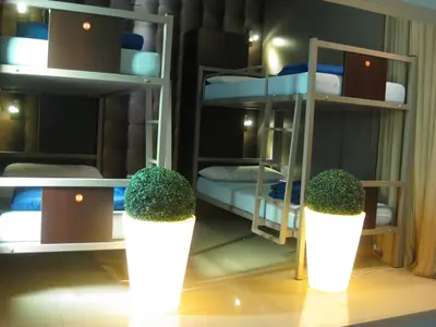 a room with two bunk beds and two bushes at albergue SANTO SANTIAGO in Santiago de Compostela