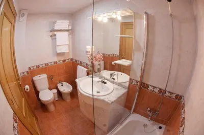 a bathroom with a shower and a sink and a toilet at Laros Pios Alojamiento 2 in Villalba