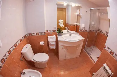 a bathroom with a toilet and a sink and a shower at Laros Pios Alojamiento 1 in Villalba