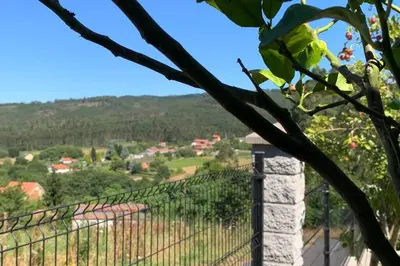a view of a vineyard from a fence at Casa rural La casilla de Ois-Betanzos-A Coruña in Coirós