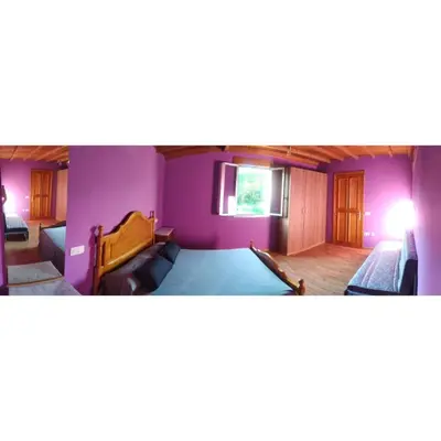 a room with purple walls and a bed and a couch at CASA 