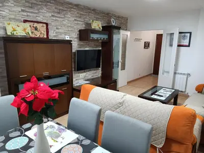 a living room with a couch and a table with red flowers at PISO XUNQUEIRA in Viveiro