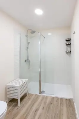 a white bathroom with a shower and a toilet at MIRADOR DE LA MURALLA in Betanzos