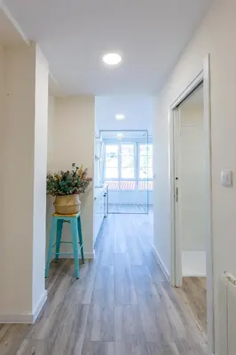 a hallway with white walls and a table with a potted plant at MIRADOR DE LA MURALLA in Betanzos
