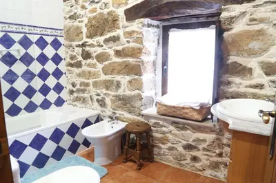 a stone bathroom with a sink and a toilet at Casa Rural Madreselva in Navelgas