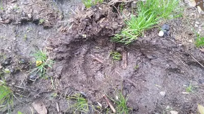 a pile of mud on the ground with grass at CASA MUNIELLOS in Cangas del Narcea