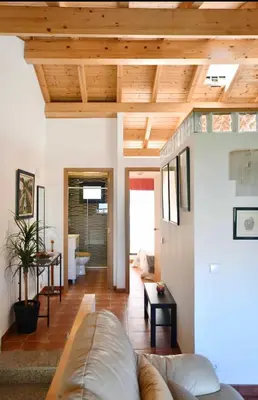 a living room with a couch and wooden ceilings at Casa da Ponte in Monforte de Lemos