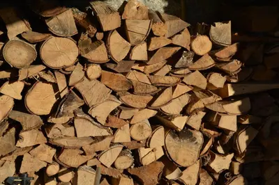 a pile of wood laying on the ground at Airiños de Mondariz in Mondariz