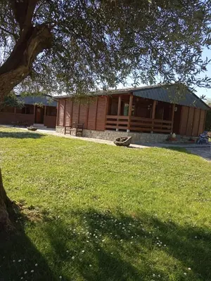 a building with a tree in front of a field of grass at Casas de madera 