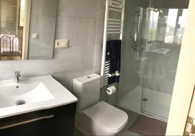 a bathroom with a toilet and a sink and a shower at Casa nueva con jardín y wifi en Ribeira Sacra in Castrelo