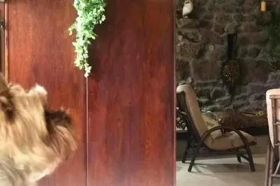 a door in a room with a chair and a wall at CASA ALBA DE SAN ROMÁN in Ourense