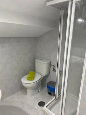 a small bathroom with a toilet and a shower at Atico en el casco histórico in Santiago de Compostela