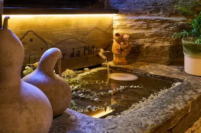 a garden with a pond with vases and a fountain at Lar da Mota Boutique Hotel in Arzúa