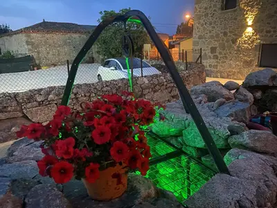 a potted plant with red flowers in a pot at Apartamentos Casa dos Arcos in Sober