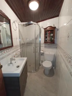 a bathroom with a shower and a toilet and a sink at Casa MiraXurés con vistas a la Sierra del Xurés in Ourense