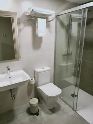 a bathroom with a toilet and a shower and a sink at Pensión Boutique ADMERA in Santiago de Compostela