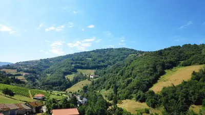 a view of a mountain with trees and houses at El Mirador De Limes in Cangas del Narcea