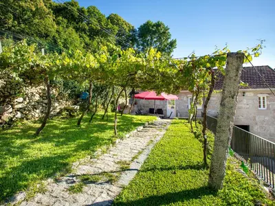 a row of trees in a yard with a building at QUINTA do SOUTO BARCIADEMERA in Barciademera