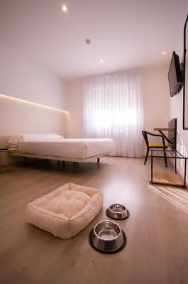 a room with a bed and a dog bowl on the floor at U-Hotel Darío Lugo in Lugo