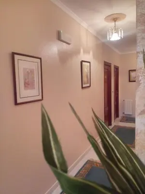 a hallway with a potted plant in front of a mirror at Arume in Bóveda