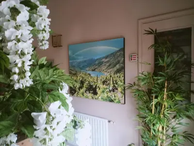 a room with plants and a picture on the wall at Arume in Bóveda